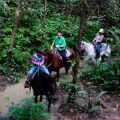 Belize horseback riding