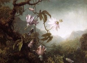 Martin Johnson Heade jungle scene